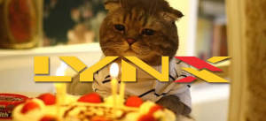 anivlynx