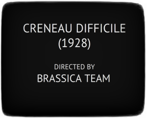 brassicARTx